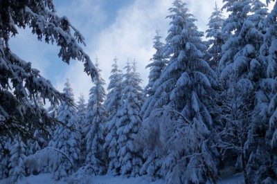 Jako v peřince - pod vrcholem Ještědu