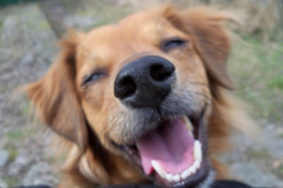 Úsměv pro vás lidičky...