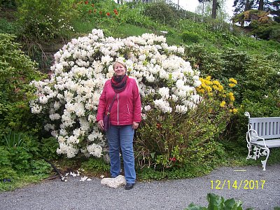 Helena Weingärtnerová