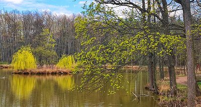 U rybníka v lese Ressl