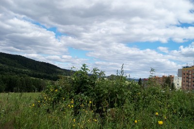 101-6764.jpg