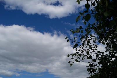 101-6769.jpg