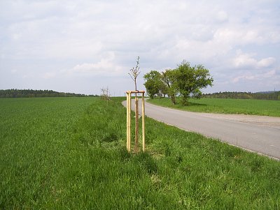 12-uz-se-nezlomim.jpg