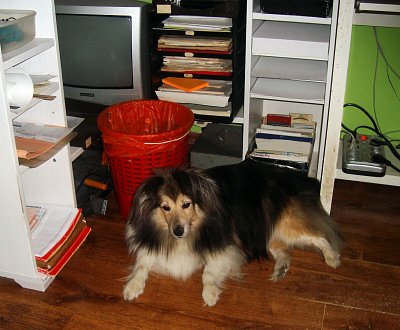12.-jeji-misto-u-pc.jpg