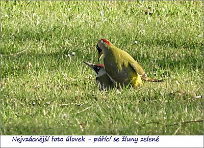 13-157.jpg