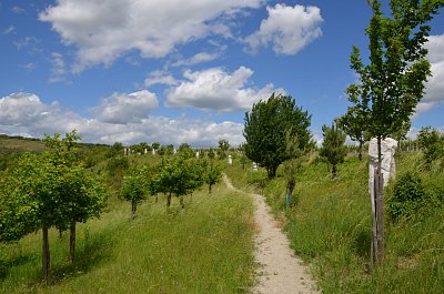 13-368.jpg