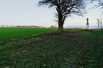 13-p1040723.jpg
