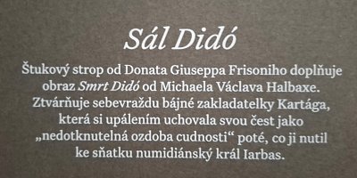 13-sal-dido-info-o-nastropni-malbe.jpg