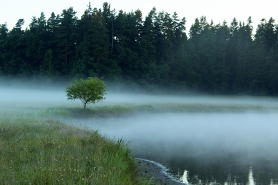 Jihočeský rybník a mlha nad ním