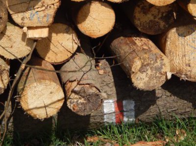 Pořád po červené