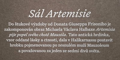 15-sal-artemisie-info-o-nastropni-malbe.jpg