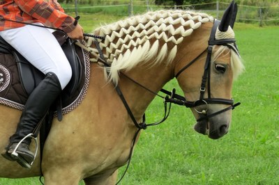 Blondýn