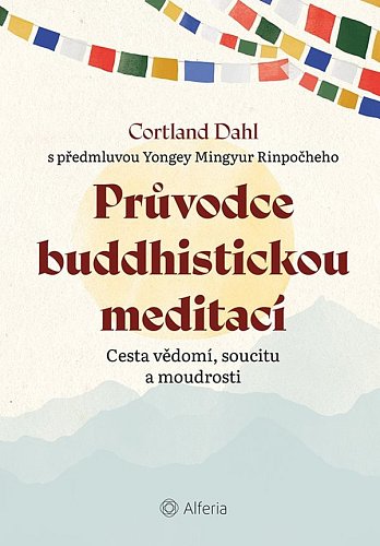 157815_pruvodce_buddhistickou_meditaci_kniha_grada_Dahl_600_0_fit.jpg