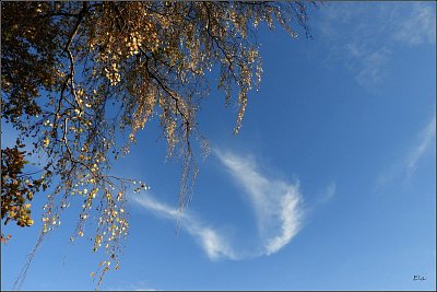 17-303.jpg