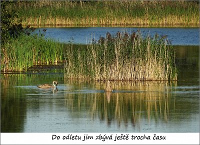 18-149.jpg
