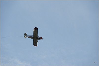18-295.jpg