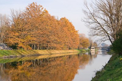 18  Zlato na hladině i nad ní