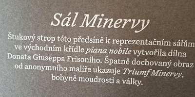 18-sal-minerva-info-o-nastenne-malbe.jpg