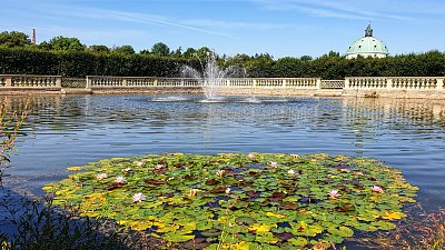 2.20230812-104235a-1.jpg