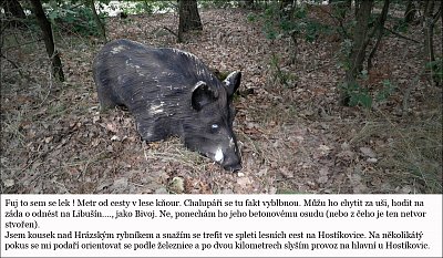 20-118.jpg