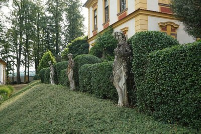 https://www.i60.cz/images/thumbs/20-sochy-u-zadniho-pruceli.jpg