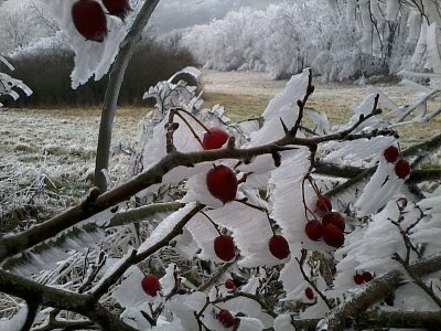2013-12-14-12.44.07.jpg
