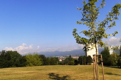 Pohled na Krušné hory