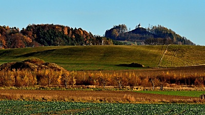 Podzimní Vyskeř