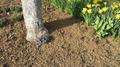 Úplně obyčejný den...