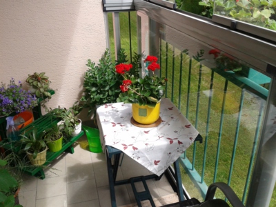 Zátiší na balkoně