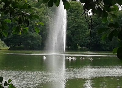 20160712-133939-1.jpg