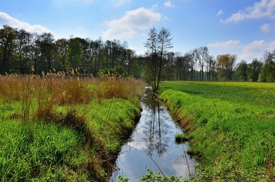 Zrcadlení-2