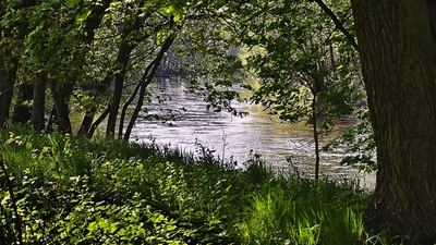 Jizera