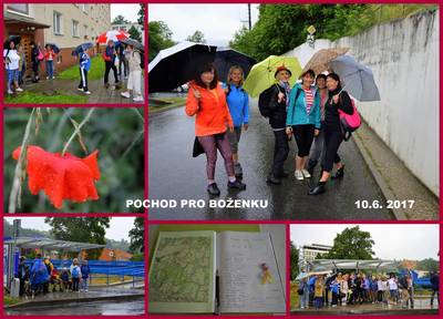 2017-06-10-pochod.jpg