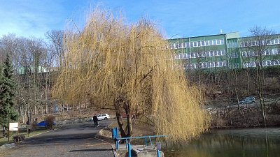 20170304-151018.jpg