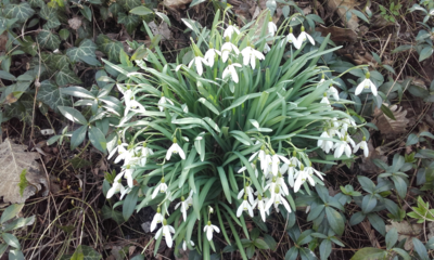 Už je to tady ...i u nás výše položených...:-)