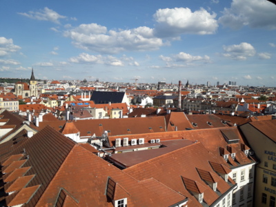 Střechy