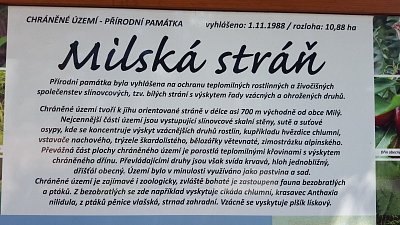 20190513-113744.jpg