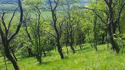 20190513-123934.jpg