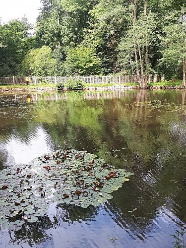 20190816-103314.jpg