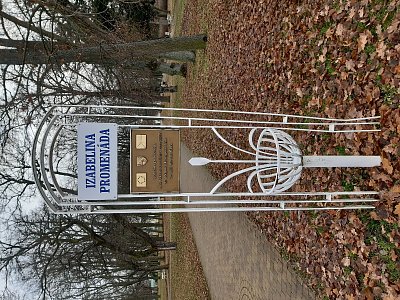 20191203-104755.jpg
