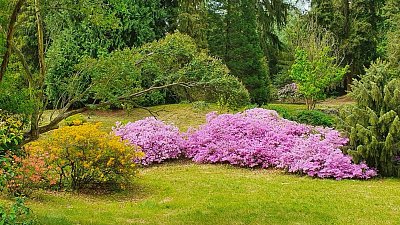 20200522-112455-1.jpg