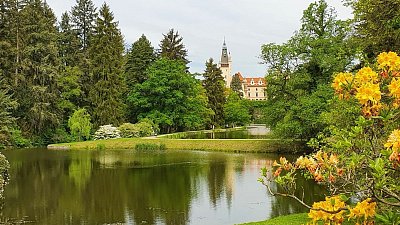 20200522-112459-1.jpg