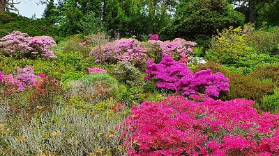 20200522-115555-1.jpg