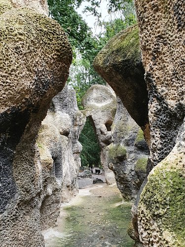 20200803-162507-1.jpg