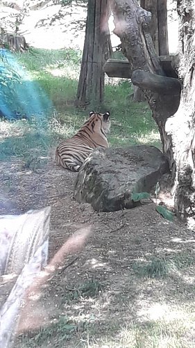20210722-125049.jpg
