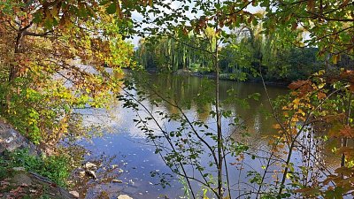 20221013-142313.jpg