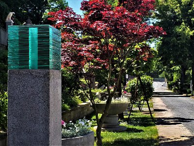 20230531-133113-1.jpg