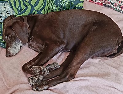 Proč jen mám tak dlouhý nohy..?