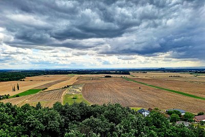 20230726-141239-1.jpg